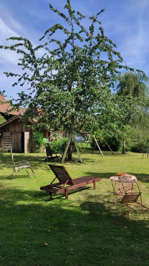 Gite Au Petit Ruisseau-Etage Et Combles-Maison Alsacienne 4 Personnes 4 Nuitees Minimum Langensoultzbach Eksteriør bilde