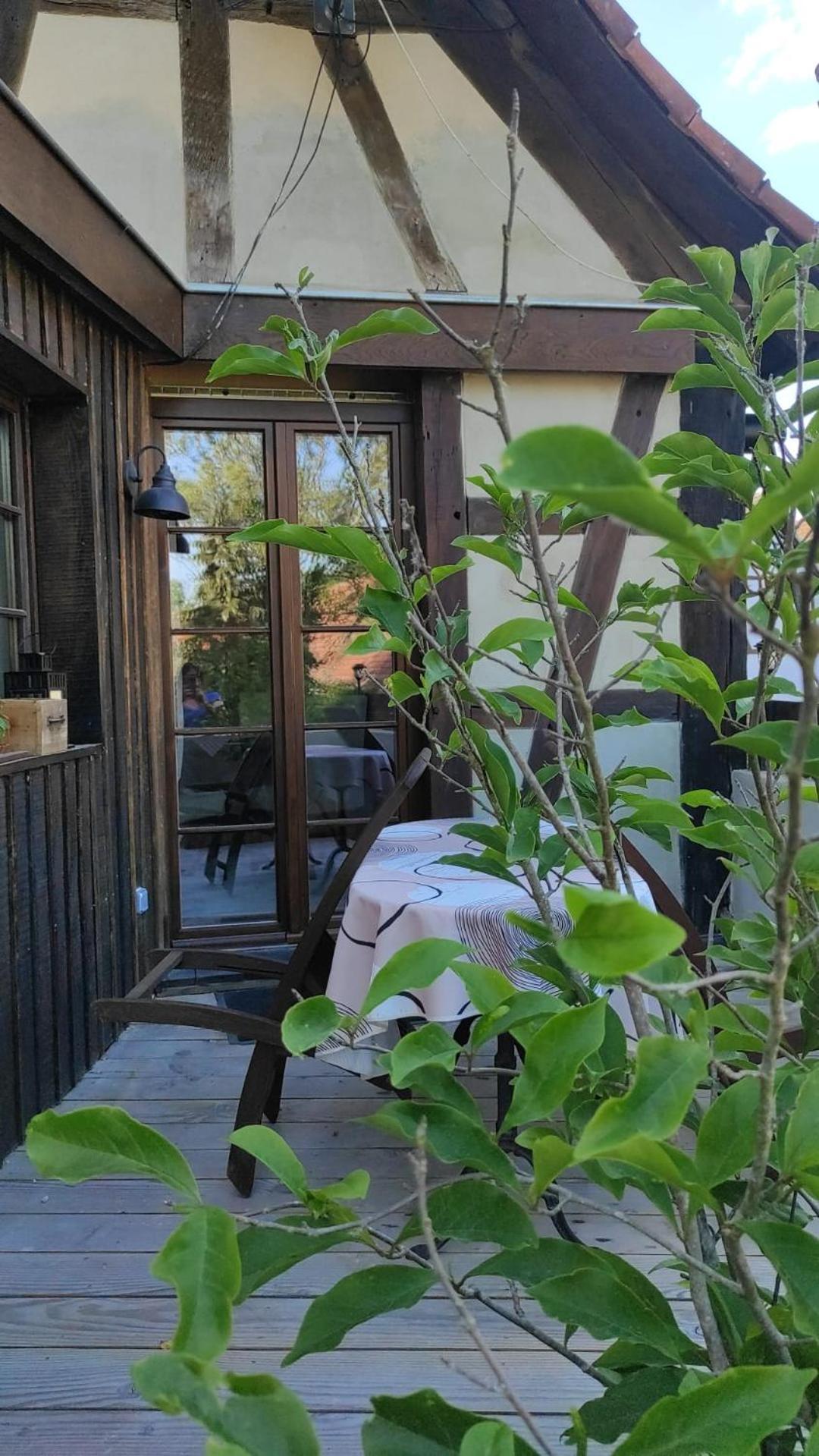 Gite Au Petit Ruisseau-Etage Et Combles-Maison Alsacienne 4 Personnes 4 Nuitees Minimum Langensoultzbach Eksteriør bilde